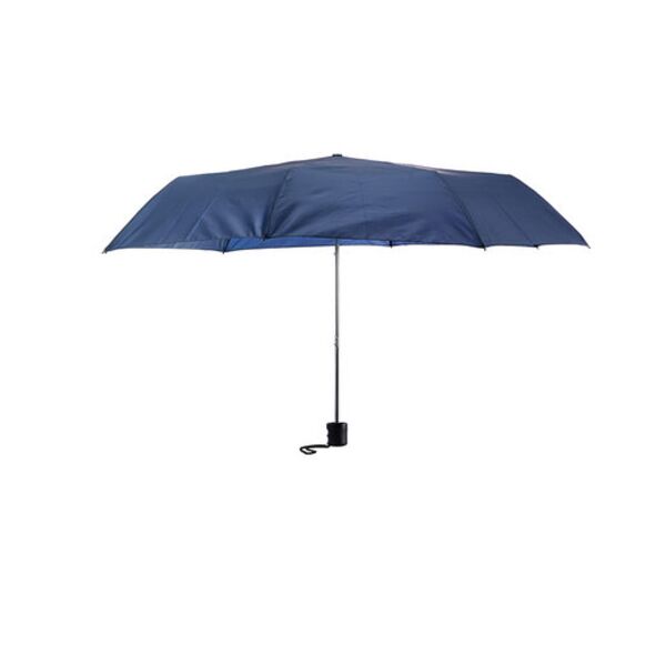 Budget Folding Umbrella Thumbnail